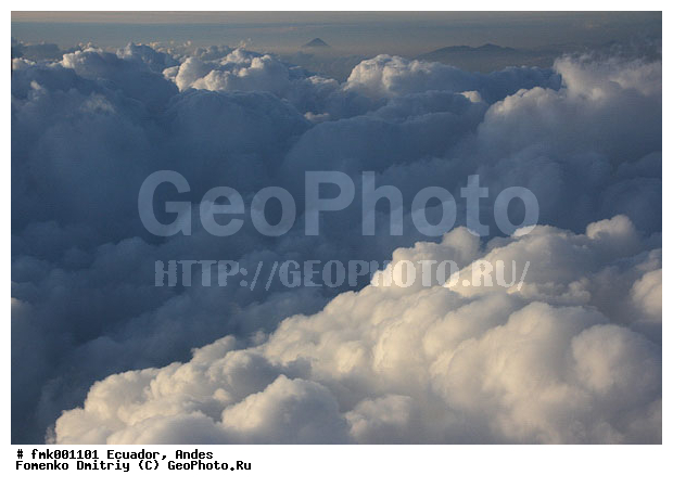 ����, �������, �����, ����, ����, ������, ������