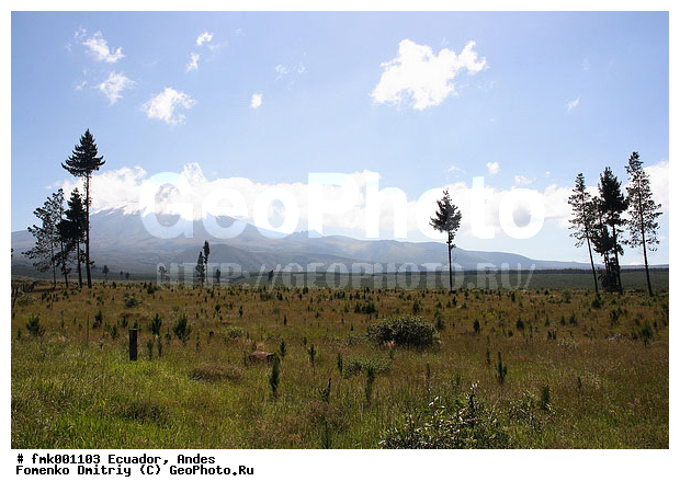 ����, �������, ����, ����������, ������, ��������������