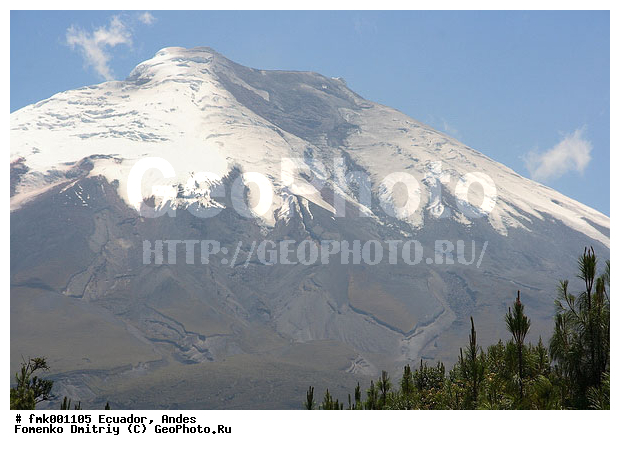 ����, �������, �������, �������, �������, ������, �������, �������, ����, ����, ������, ����, ������