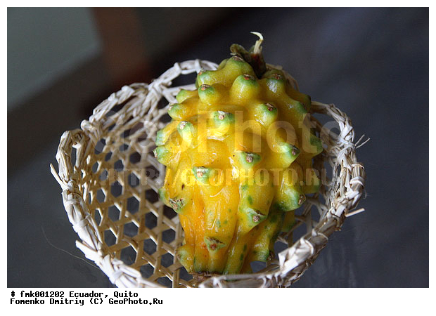 ����, �������, ������, �����, ���, �������, �����, ������������ �����