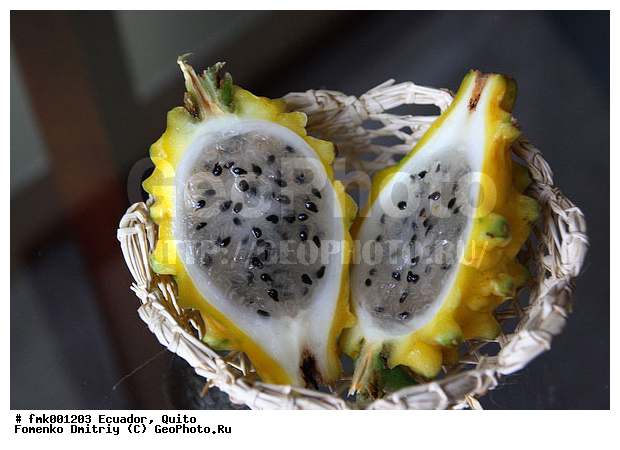 ����, �������, ������, �����, ���, �������, �����, ������������ �����