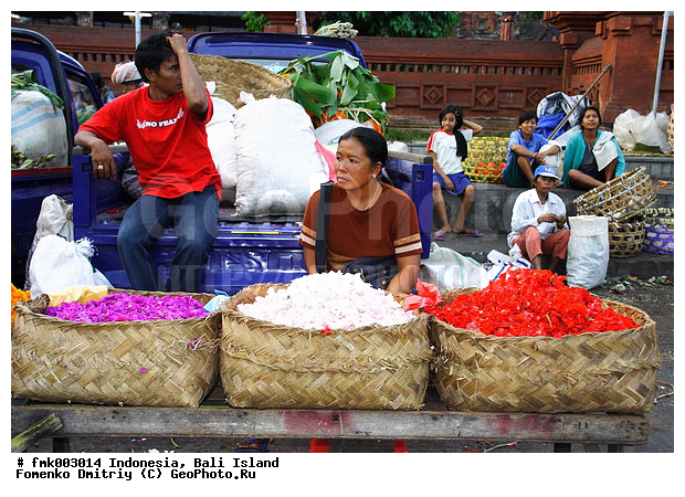 ����, ���������, �������, ��������, �����, ��������, ��������