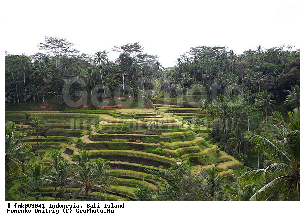 ����, ���������, �������, ������, ���, ������� �������, �������