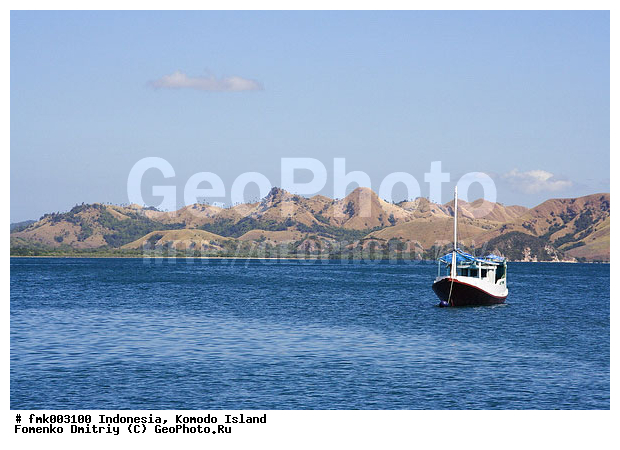 ���������, ��������� �������, ����, �����, �����, ����, �����, ������, �������, �����������