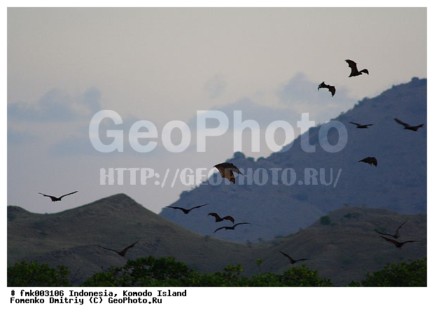 ���������, ��������� �������, �������, ������� ������, ������