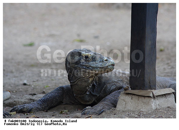 ���������, ������, ��������� �������, �����, ������, ������ ������