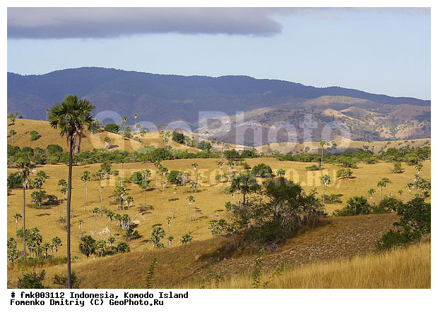 ���������, ��������� �������, ������, �������, �����