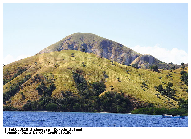 ���������, ��������� �������, ����, �����, ����, �����, ������, �������, �����������, �����