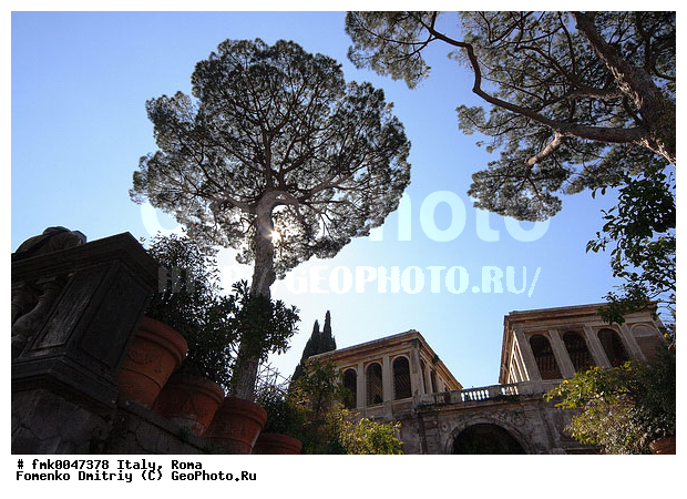 ������, ���, �����, �������, ������