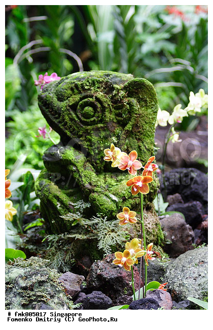 ��������, ������, ��������, �������, ����������, ��������