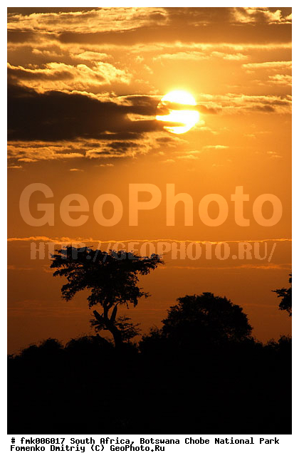 ��������, ������������ ����, ����, ����� ������, �����������, �����, ������, ������