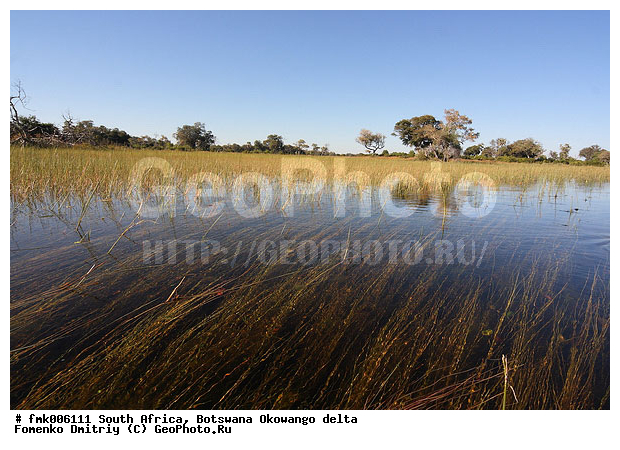 ��������, ����� ������, ������, ����, ������, ����, �������, �����, �����, ����� ��� �����