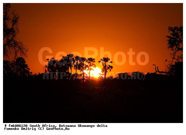 ��������, ����� ������, �����������, �����, ����, �����, ������, ������, ������