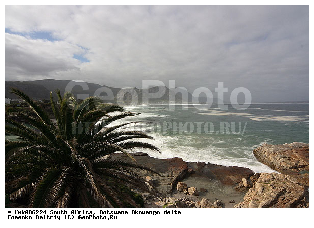 ��������, ����� ������, �����, ��������, �����, �����, ����, �����, ������