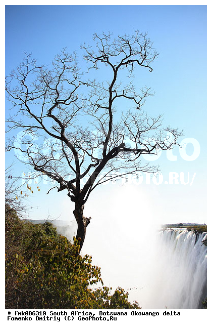 ��������, ������, ����� ������, ����, �������, ������� ��������, ������