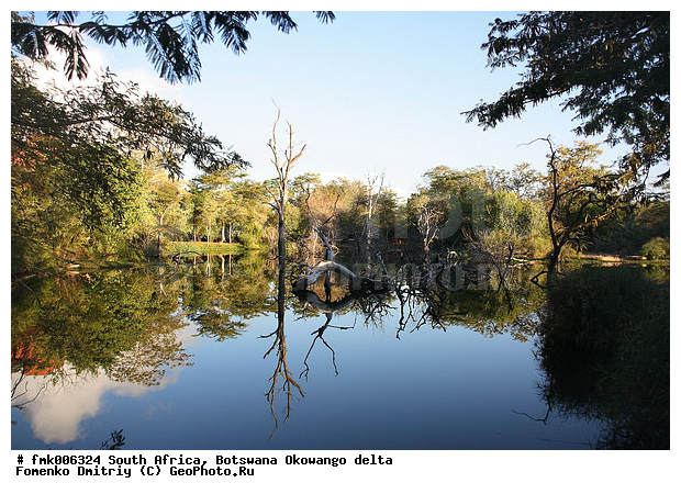 ������, ����� ������, �����, ��������������