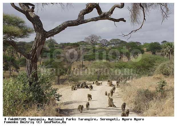 ����������, ���������, ��������, ���������, ������, ������, ������������ �����, ��������, �������