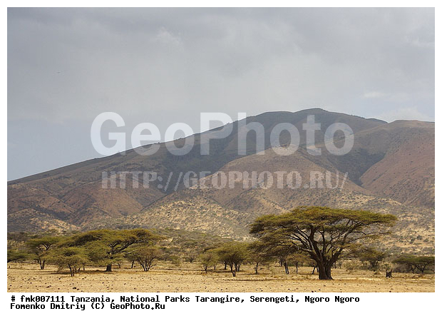 ����������, ���������, ��������, ���������, ������, ����, ������, �������, ������������ �����, ������, �������