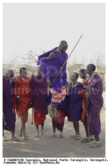 ����������, ���������, ��������, ���������, ���������, ����, �����, �������, ������������ �����, ������, �����