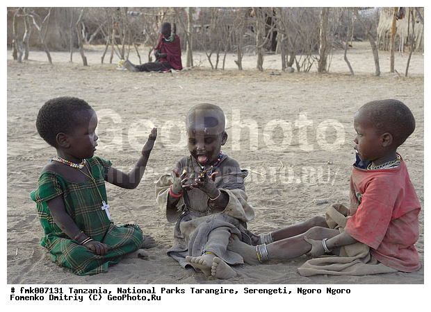 ����������, ���������, ��������, ���������, �����������, ����������� ����, ����, ������������ �����