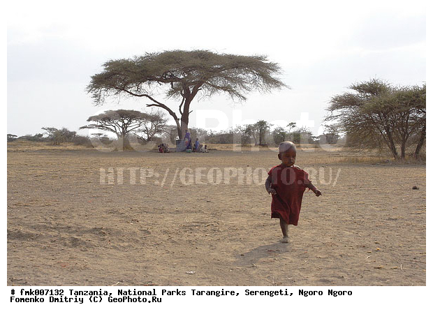 ����������, ���������, ��������, ���������, ����������� �������, ������, ������������ �����, �������, �������