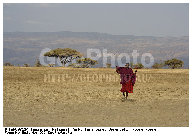 ����������, ���������, ��������, ���������, ��������, ������, ���������, ����, �����, �������, ������������ �����, ������, �������