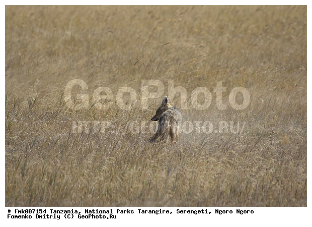 ����������, ���������, ��������, ���������, ������������ �����, ����, �������, �����