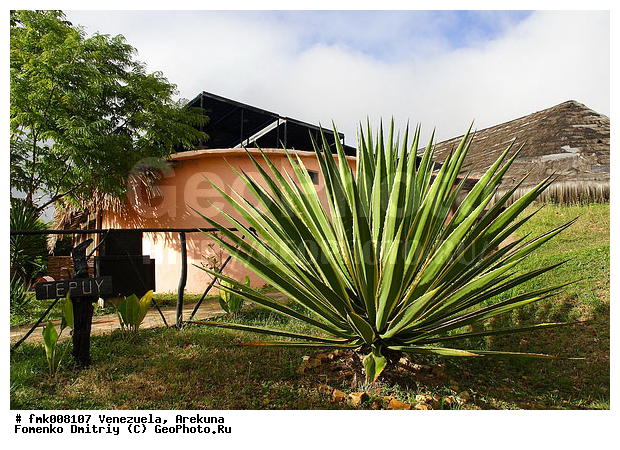 �������, ���������, ����� �������, ���, ������, ��������