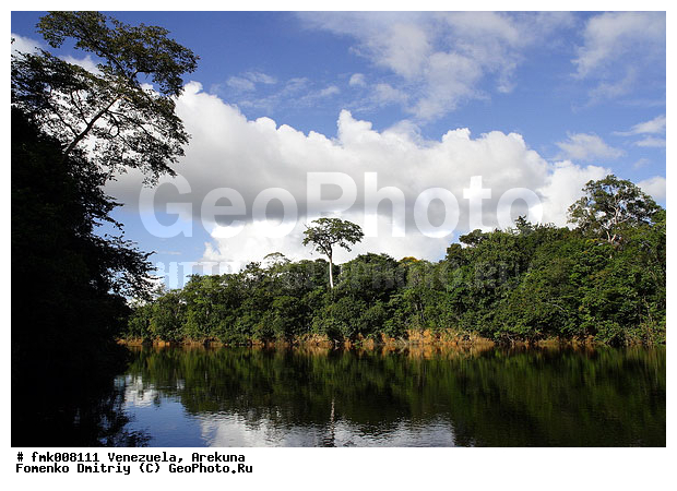 �������, ���������, ����� �������, �������, ����, ������, ������, �������, ����, ������