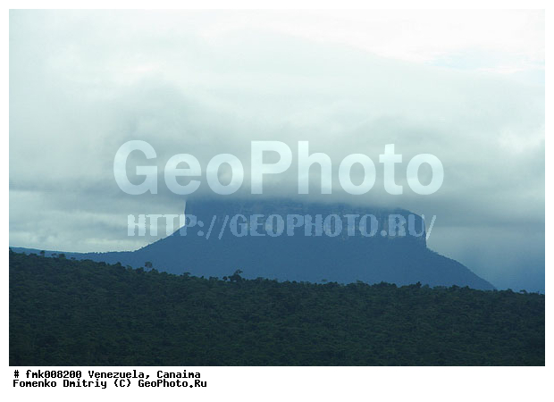 ���������, �������, ������������ ���� �������, ����� �������, ����, ������������ ����, �������, �����