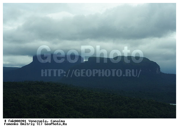 ���������, �������, ������������ ���� �������, ����� �������, ����, ������������ ����, �������, �����