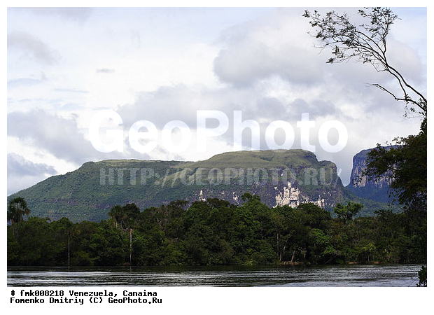 ���������, �������, ������������ ���� �������, ����� �������, ����, ������������ ����, �������, ����, �����