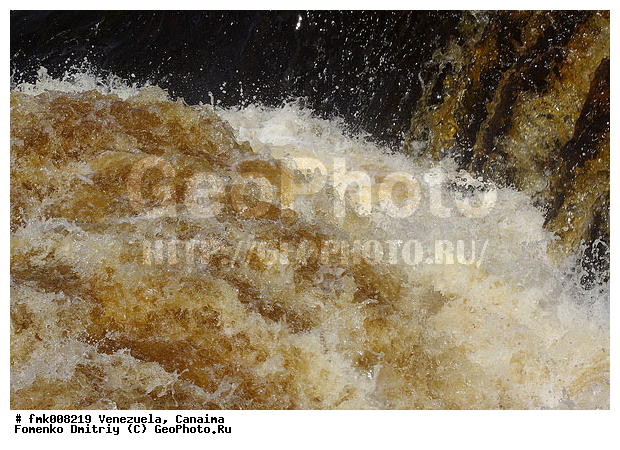 ���������, �������, ������������ ���� �������, ����� �������, ����, �������, �����, ������������ ����, �������