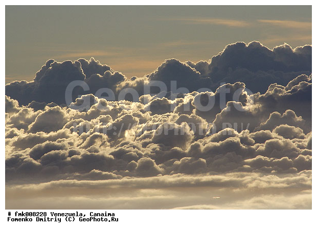 ���������, �������, ������������ ���� �������, ����� �������, ������������ ����, �������, ������� ������