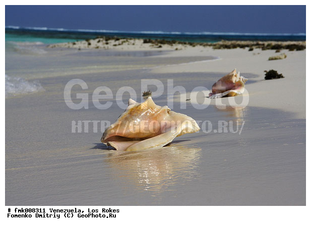 ���������, ��� �����, ����� �������, ���������, ��������� ��� �����, �����, �����, ����, �����, ����, ��������, ��������, �������