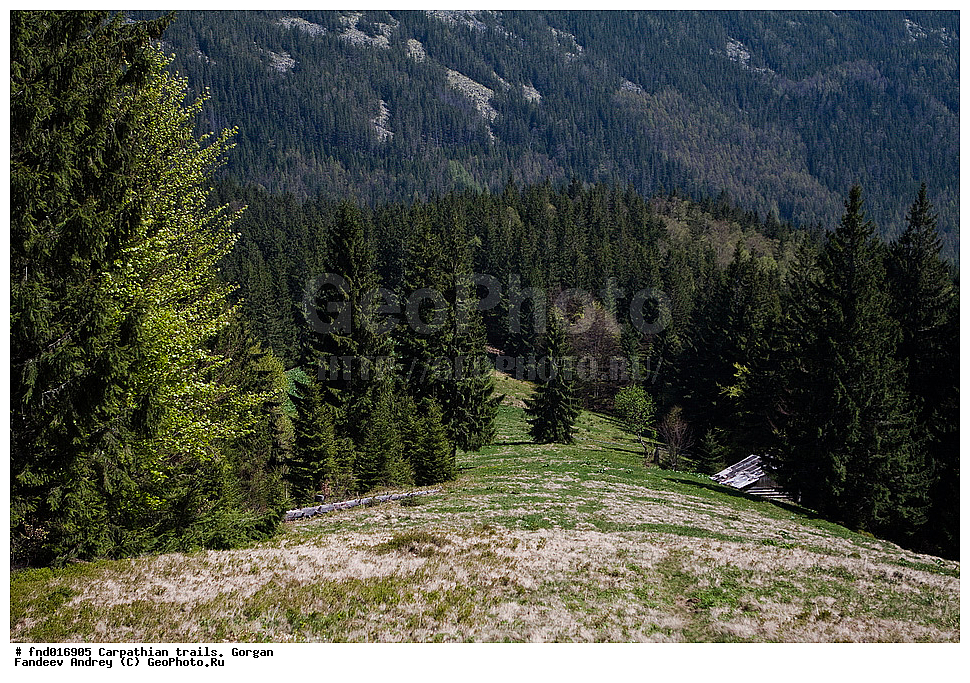 �������, �������, ����, ������