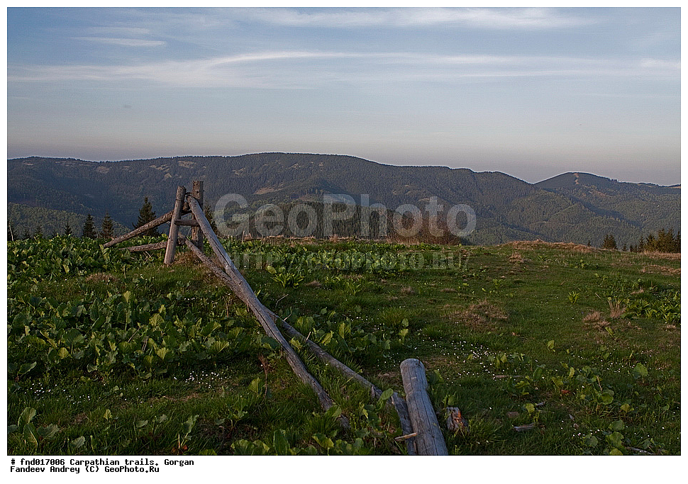 �������, �������, ����, ������