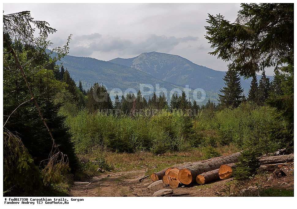 �������, �������, ����, ������