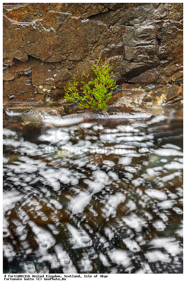 ��������������, ���������, ������ ����, ������, �������� ���, ������������ �����