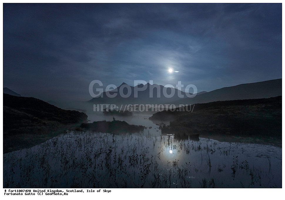 ��������������, ���������, ������ ����, ������, �������� ���, ������������ �����