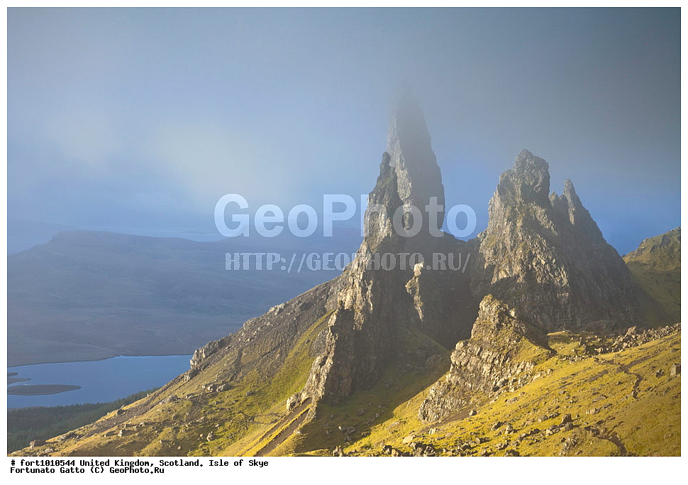 ��������������, ���������, ������ ����, ������, �������� ���, ������������ �����