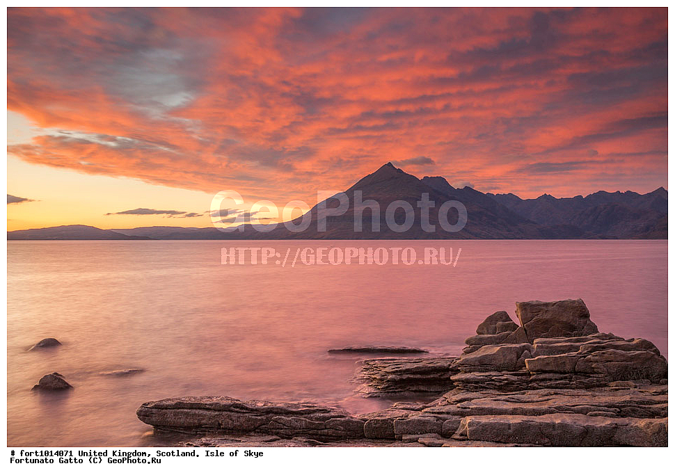 ��������������, ���������, ������ ����, ������, �������� ���, ������������ �����