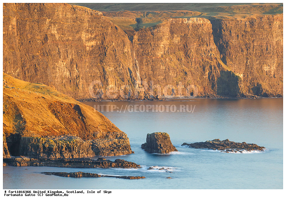 ��������������, ���������, ������ ����, ������, �������� ���, ������������ �����