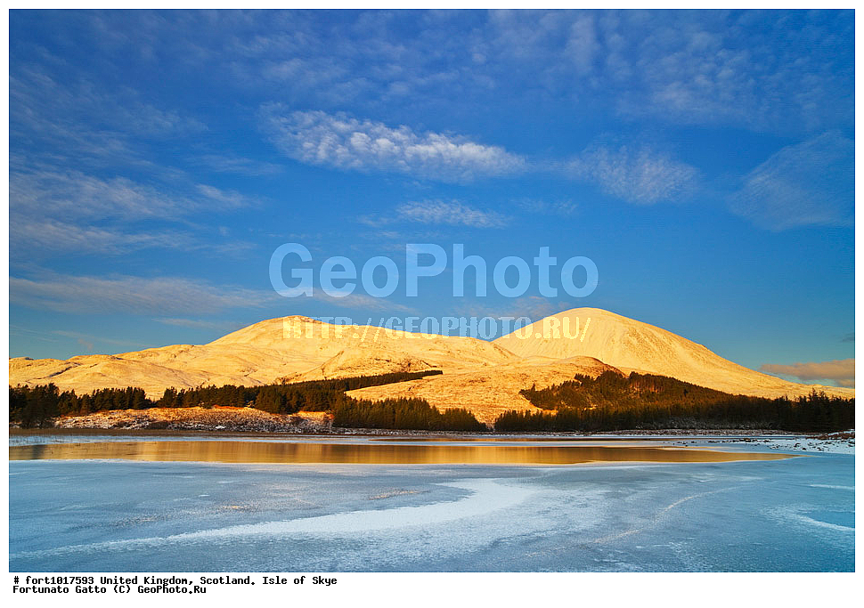 ��������������, ���������, ������ ����, ������, �������� ���, ������������ �����