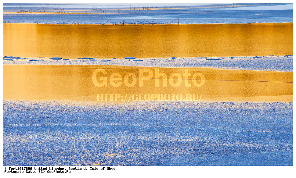 ��������������, ���������, ������ ����, ������, �������� ���, ������������ �����