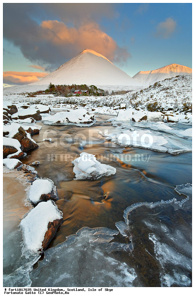 ��������������, ���������, ������ ����, ������, �������� ���, ������������ �����