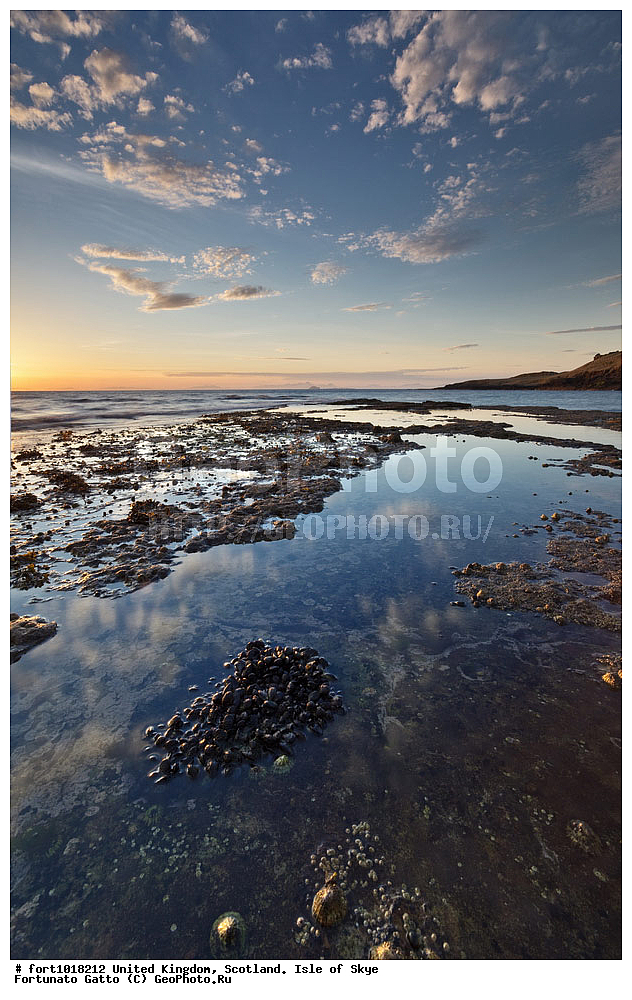 ��������������, ���������, ������ ����, ������, �������� ���, ������������ �����