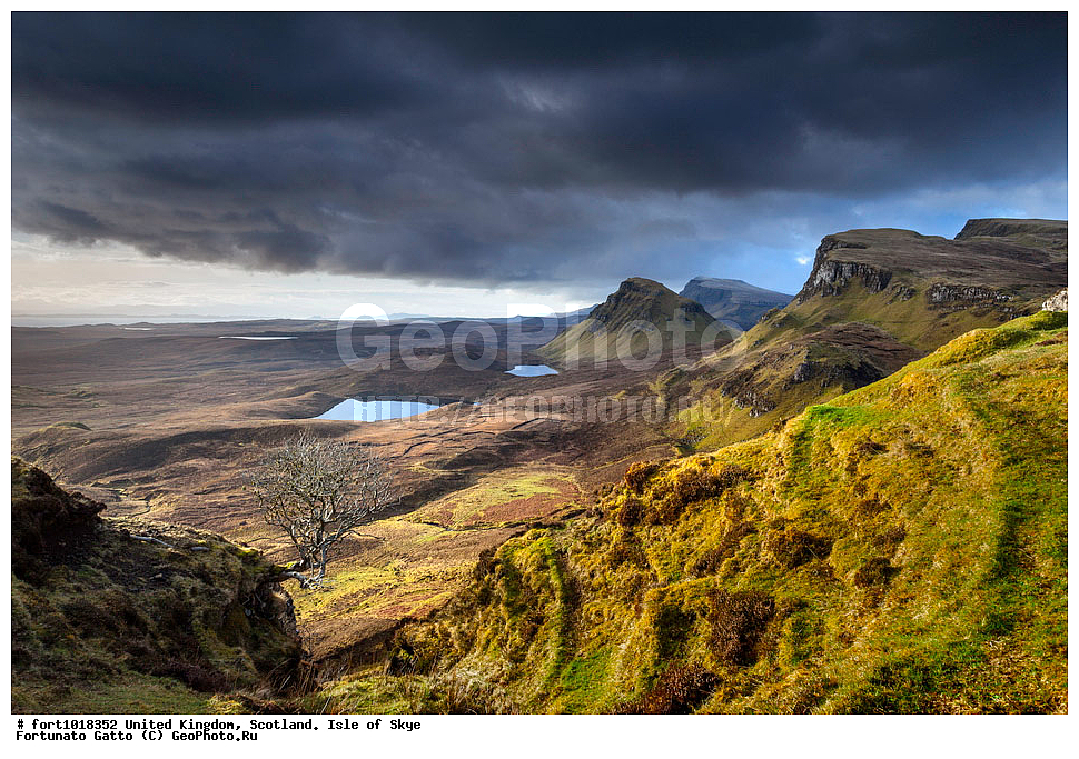 ��������������, ���������, ������ ����, ������, �������� ���, ������������ �����