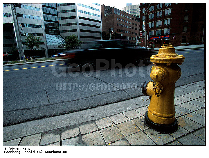 ������, �������, �����, ��������, ������, �������� ����, �������, �������, �����