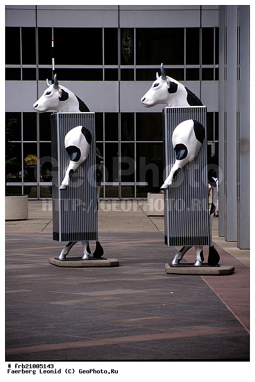 ������, �����-��������, ������, ������, ��� ����, ����� �����, �������